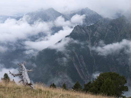 ¡Vaya vistas, tronco!
