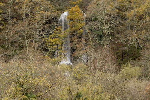 Parque Natural Saja-Besaya