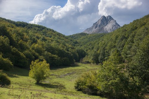 El Gilbo desde los bosques de Riaño