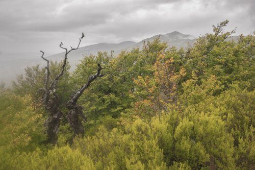 Día de tormenta en la sierra de Ayllón