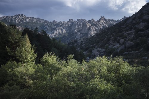 Luces de la mañana en La Pedriza