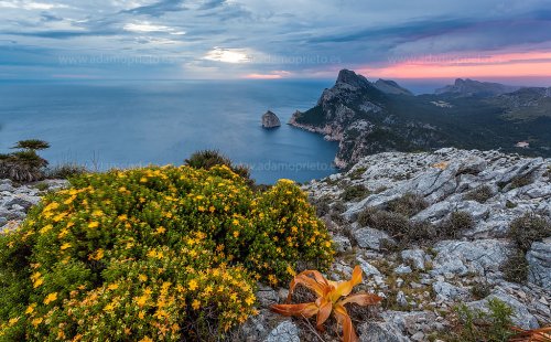Peninsula de Formentor