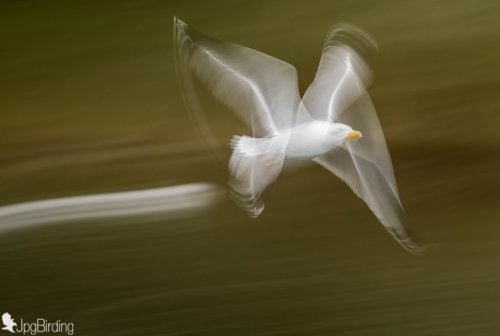 Star Wars -  TIE Fighter