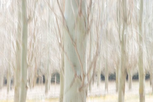 xopera al gorg blau de Mallorca