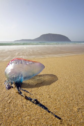 El final de los días