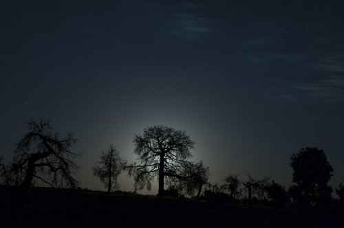 Esqueletos - Contraluna