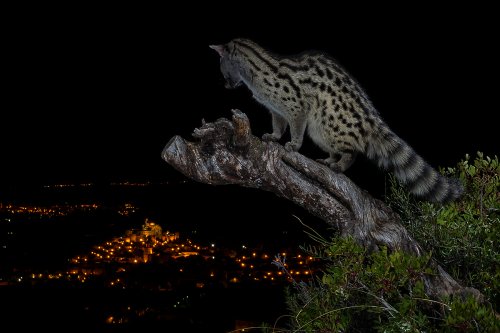 Mención de honor MML-Sobre la ciudad dormida