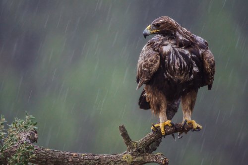 Finalista FotoFio-Reina en la tormenta