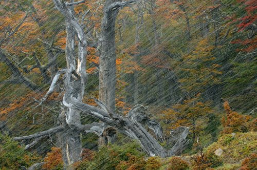 Paisaje de Patagonía