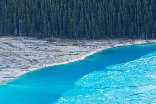 Peyto lake composition