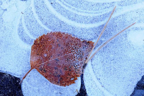 Atrapada en el hielo