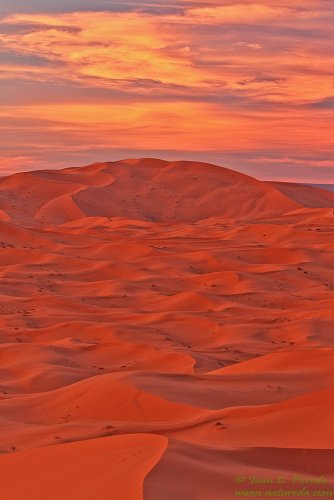 Dunas de Merzouga atardeciendo