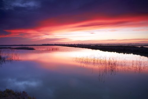 Las Salinas de San Pedro 1