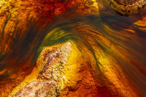 Los colores del Tinto