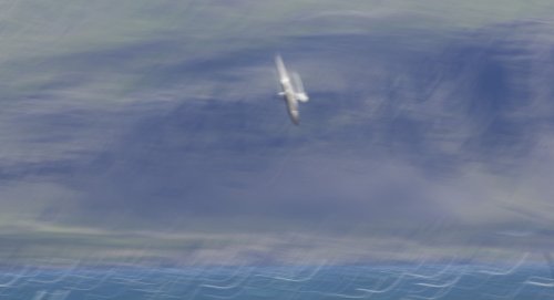 Naturaleza en movimiento