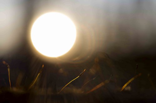 El micro y el macro mundo