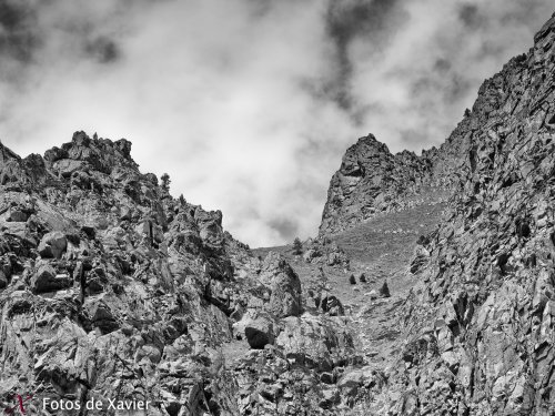 Coll dels Homes - Torreneules