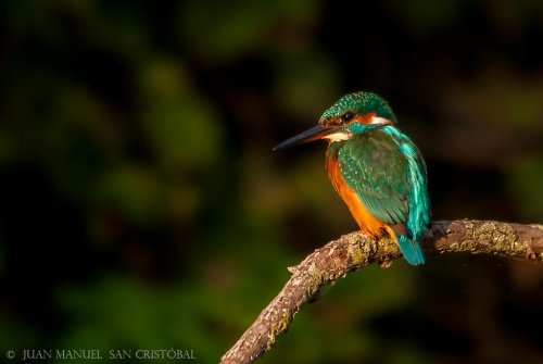 El despertar de Martina