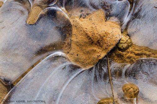 Detalles de invierno