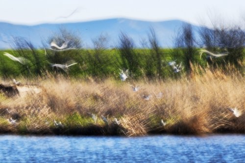 Movimiento en Navaseca