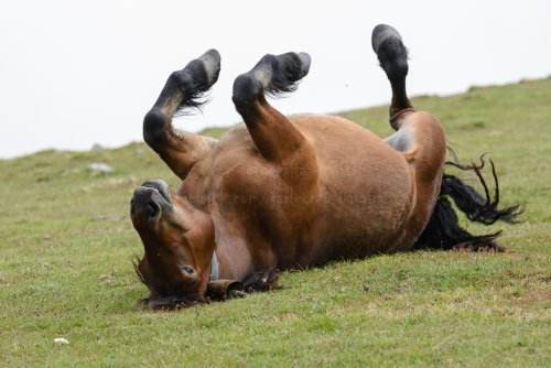 "Tranquilos, ya es viernes..."