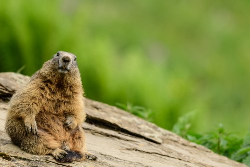 Y tú, ¿qué miras?