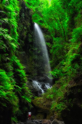 Salto de agua en el Bosque de los Tilos