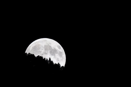 La luna tras el bosque