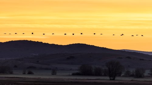 Partiendo hacia el norte.