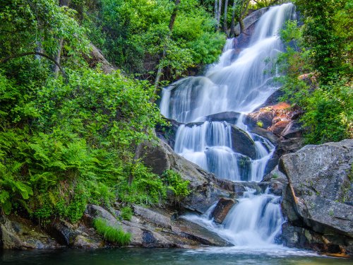Ruta de las Nogaledas