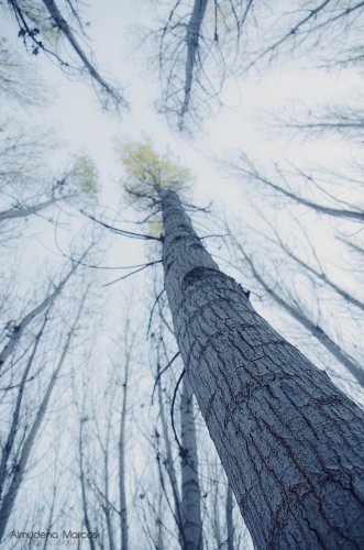 El invierno te alcanza