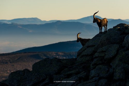 Los guardianes de las montañas