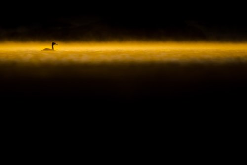 Una mañana cualquiera