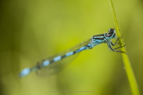 Y llegó la primavera