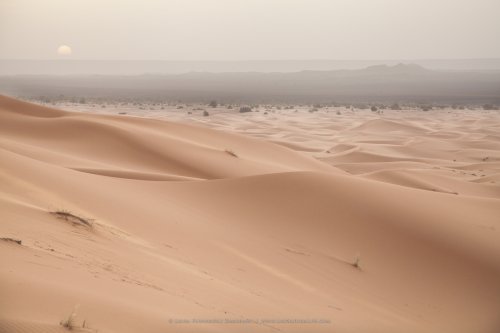 Amanecer entre dunas