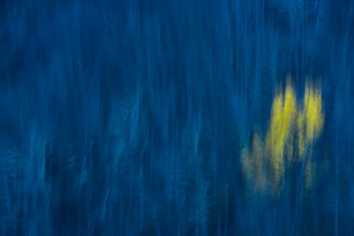 Vibración en azul y amarillo