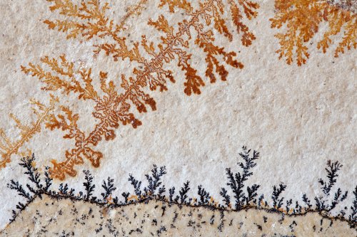 Bosque de Pirolusitas