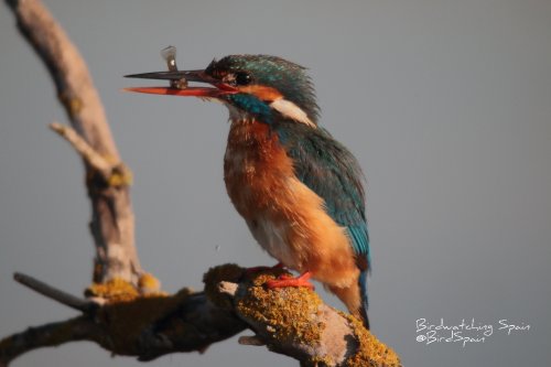 Equilibrio ecológico