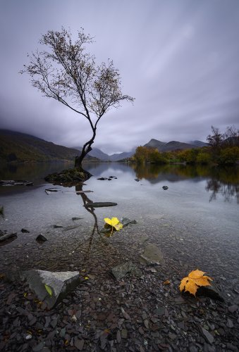 Tras las huellas del otoño
