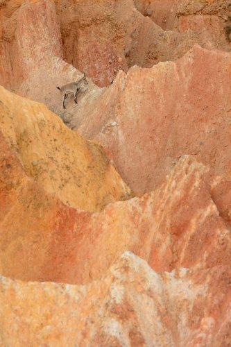 Escalando lo imposible