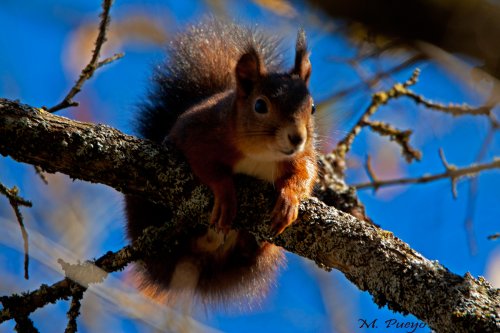 Cómoda en las alturas.