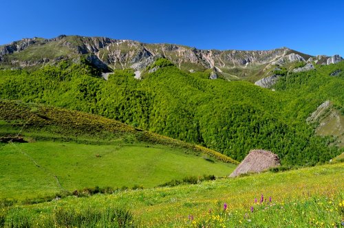 NATURALEZA EN ESTADO PURO