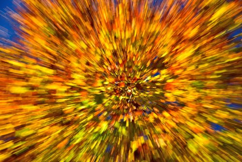 EXPLOSIÓN DE OTOÑO