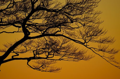 Textura de atardecer