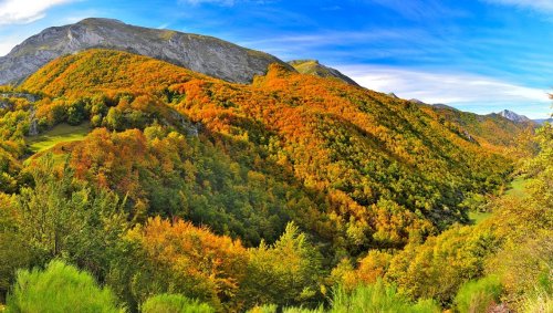 Otoño en el bosque de la Enramada. 