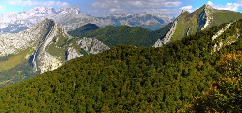 Naturaleza en estado puro.