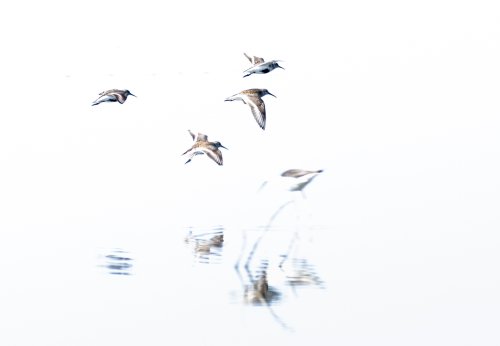 Rozando las superficie