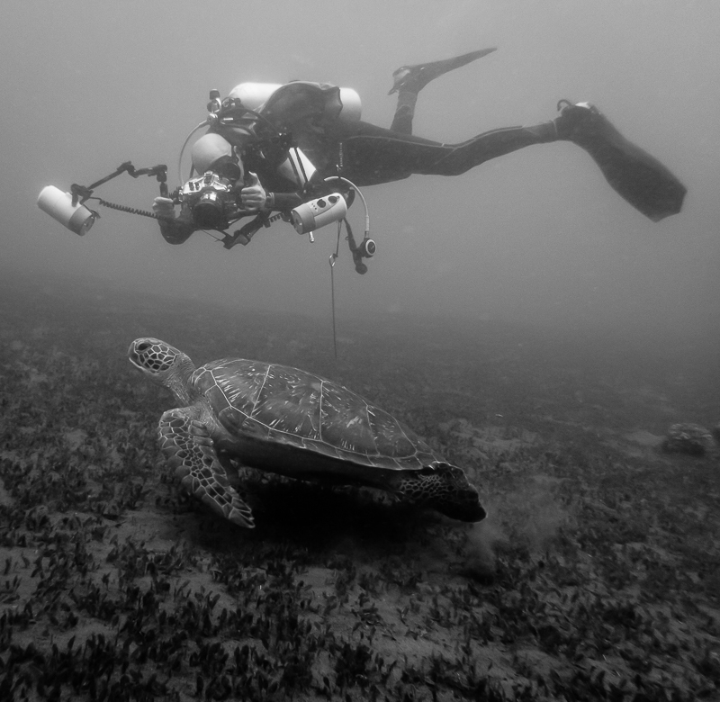 Juan Pablo Plaza Pozo