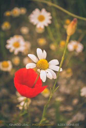 Compartiendo espacios