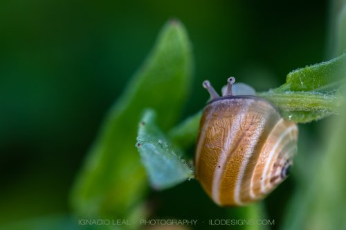 Abre los ojos a la naturaleza